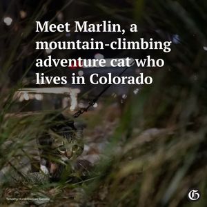 Image post by @co_gazette on Instagram