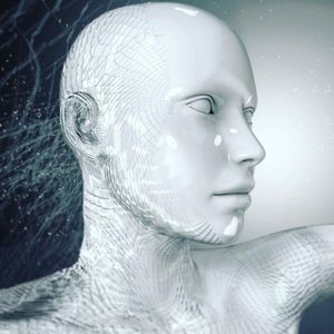 Image post by @paulmarlier on Instagram