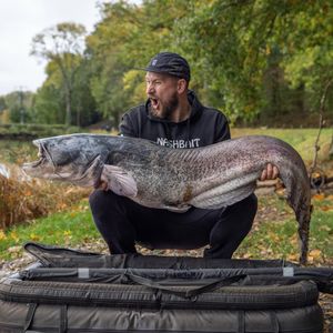 Image post by @brothercarp on Instagram