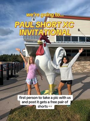 Image post by @chicknlegsrunning on Instagram