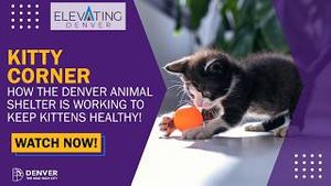 Video post by @denver8tv on YouTube