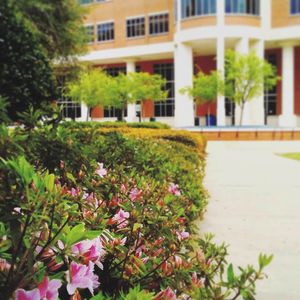 Image post by @jacksonstateu on Instagram