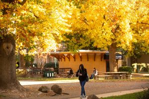 Image post by @sacstate on Instagram