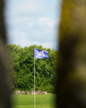 Image post by @dewitzmedia on Instagram