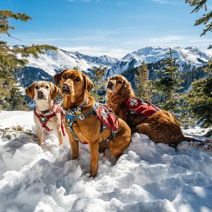 Image post by @skitaos on Instagram