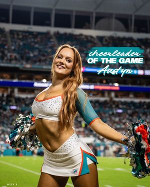 Image post by @dolphinscheer on Twitter/X