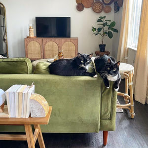 Image post by @wayfair on Instagram