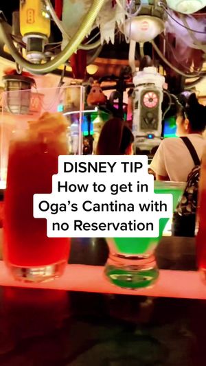 Video post by @livinglocurto on TikTok