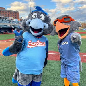 Image post by @aberdeenironbirds on Instagram