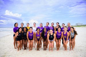 Image post by @lsugym on Instagram