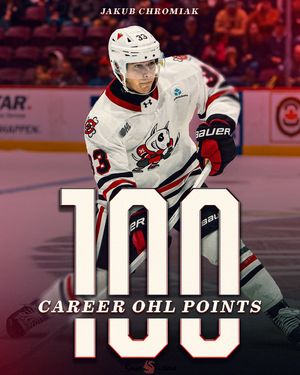 Image post by @ohlicedogs on Instagram