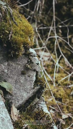 Video post by @Lathanuel Filliol Photography on Facebook