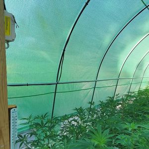 Image post by @TheGrowDoctorOklahoma on Facebook