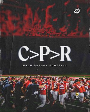 Image post by @msum_football on Instagram