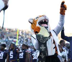 Image post by @gojsutigers on Instagram