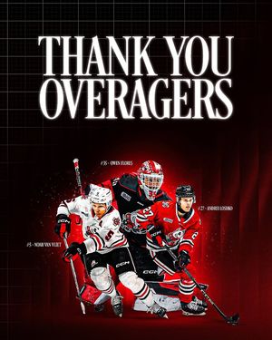 Image post by @ohlicedogs on Instagram