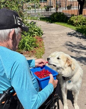 Image post by @MinnesotaDepartmentOfVeteransAffairs on Facebook