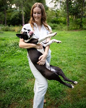 Image post by @mulliganthebostonterrier on Instagram