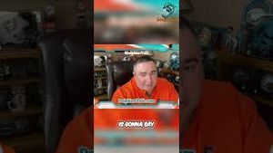 Video post by @dolphinstalk on YouTube
