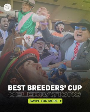 Image post by @worldhorseracing on Instagram