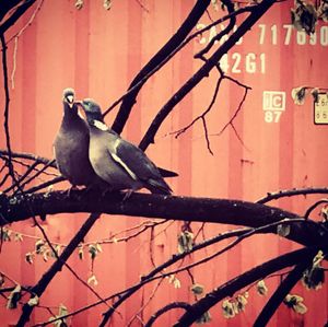 Image post by @canmainhattan on Instagram
