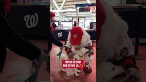 Video post by @nationals on YouTube