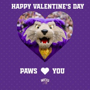 Image post by @wcu_catamounts on Instagram