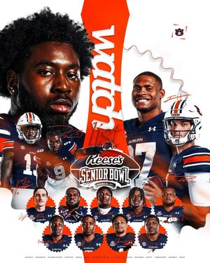 Image post by @auburnfootball on Instagram