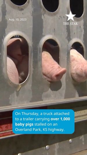 Video post by @thekansascitystar on Instagram