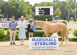 Image post by @kyhorseshows on Instagram