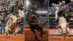 Video post by @pbr on YouTube