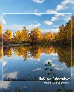 Image post by @tourlakecountyoh on Instagram