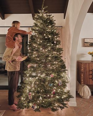 Image post by @workingholidaystudio on Instagram