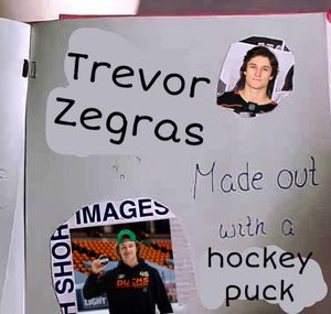 Image post by @MittsAndChicks on Twitter