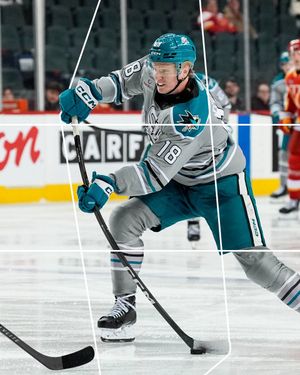 Image post by @sjbarracuda on Twitter