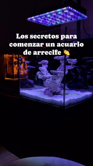Video post by @aqualupi on Instagram