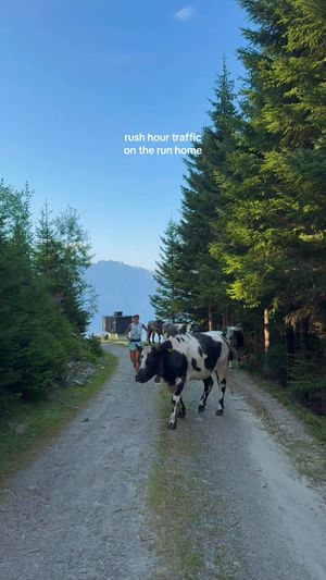 Video post by @thenorthface on TikTok