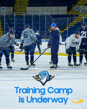 Image post by @thunderbirdsahl on Instagram