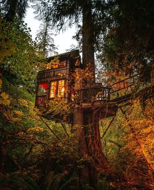 Image post by @treehousepoint on Instagram