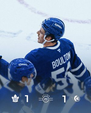 Image post by @MapleLeafs on Twitter