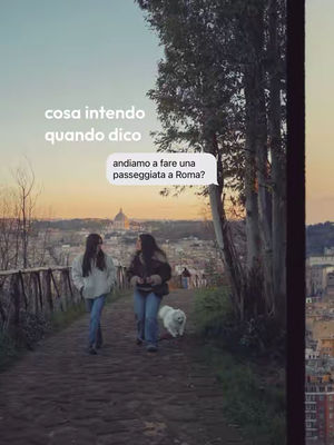 Image post by @camonkei on TikTok