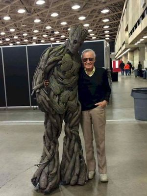 Image post by @therealstanlee on Instagram