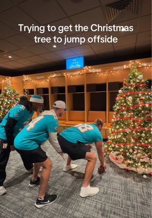 Video post by @miamidolphins on TikTok