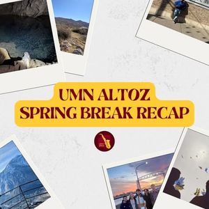 Image post by @umnaltoz on Instagram