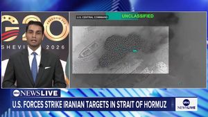 Video post by @abcnewslive on TikTok