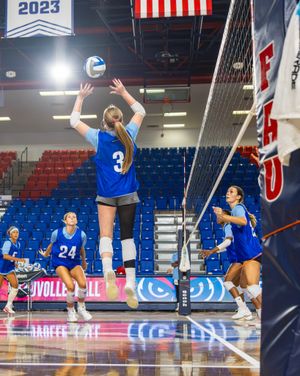 Image post by @fauvolleyball on Instagram