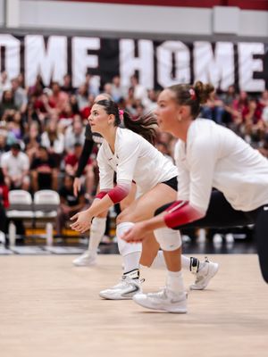 Image post by @gamecockvb on Instagram