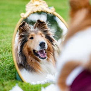 Image post by @missrevx on Instagram