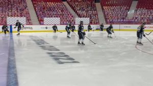 Video post by @BuffaloBeauts on Facebook