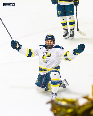 Image post by @merrimack_mih on Instagram